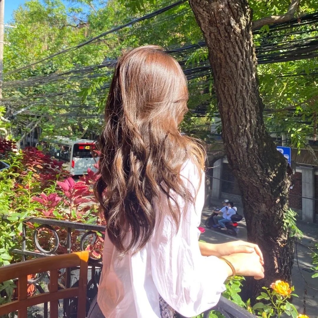 黑色蝴蝶